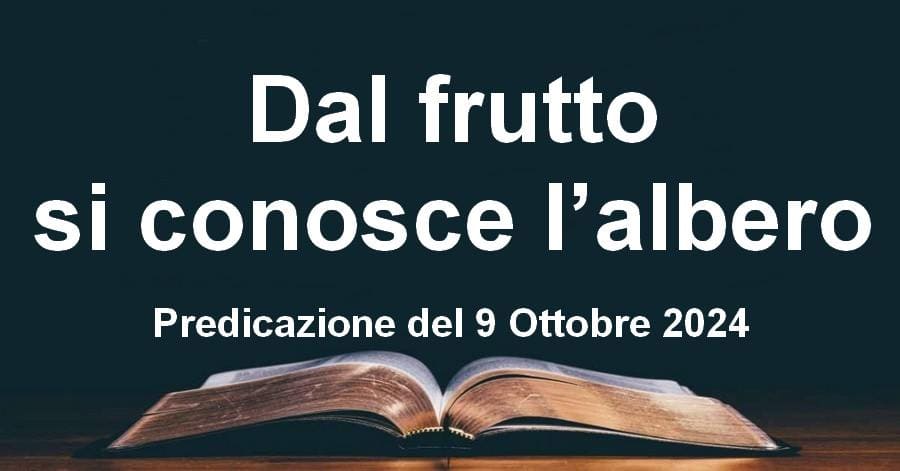 Dal frutto si conosce l’albero